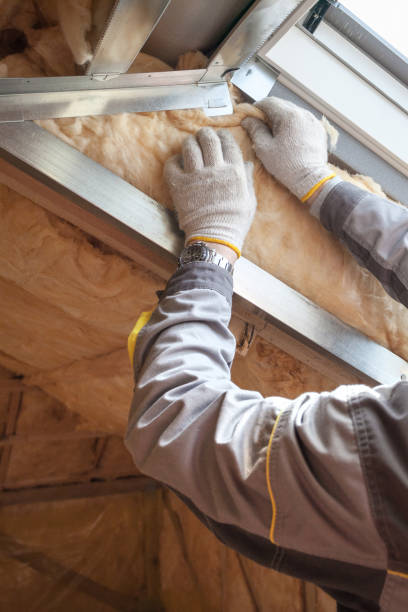 Best Insulation Installation Services in Lake Helen, FL