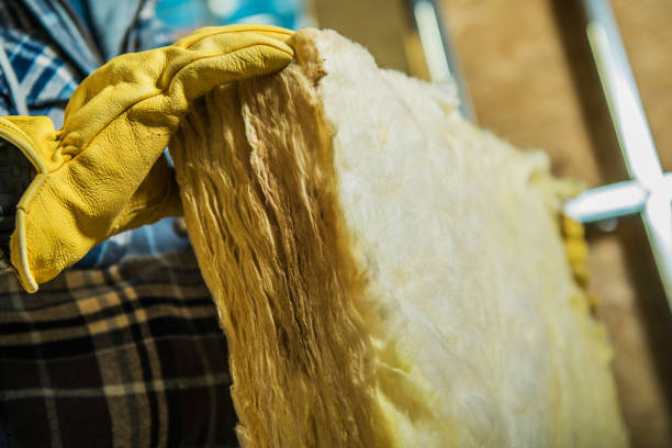 Professional Insulation Contractor in FL