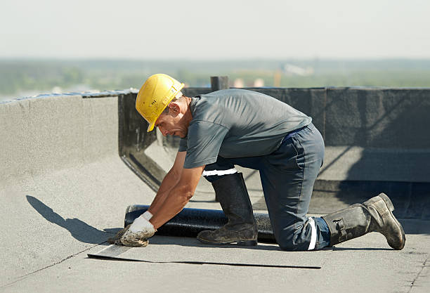 Best Residential Insulation in Lake Helen, FL