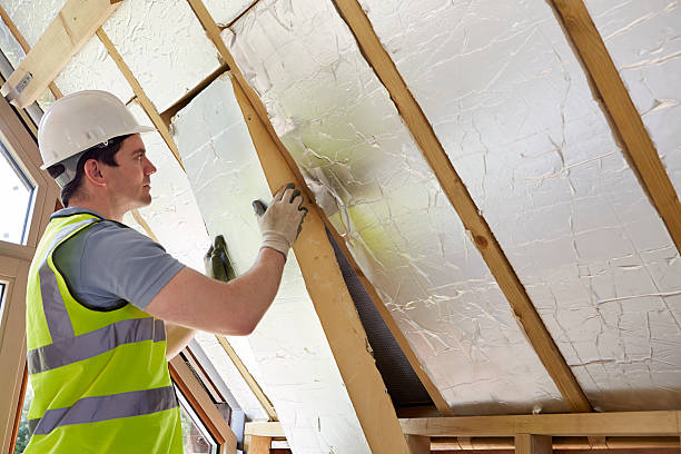 Best Specialty Insulation in Lake Helen, FL